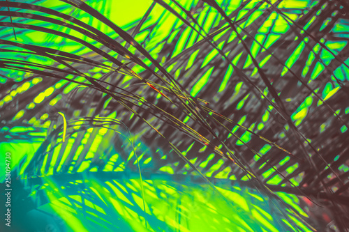 abstract tropical background with palm leaves tinted bright green