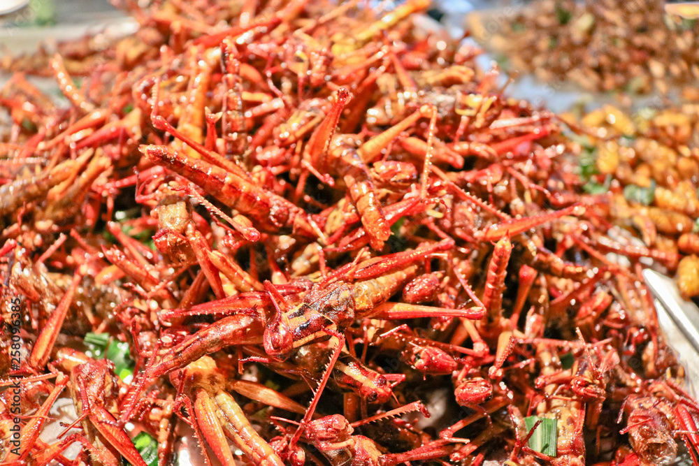 Exotic food - fried grasshoppers. Street food in Thailand