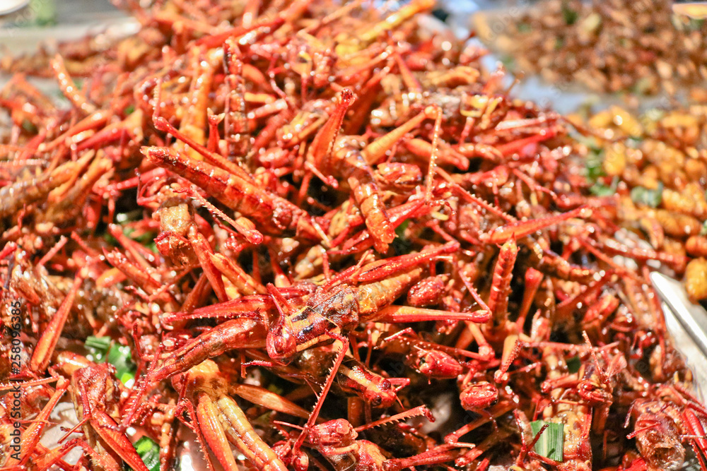 Fototapeta premium Exotic food - fried grasshoppers. Street food in Thailand