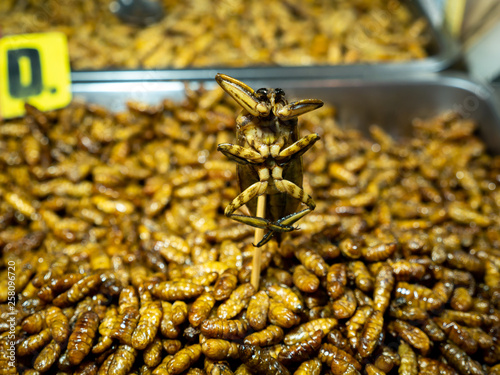 Giant Water Bug was Fry Standing among The Worms Fried in the Tray photo