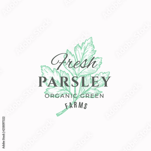 Fresh Parsley Abstract Vector Sign, Symbol or Logo Template. Green Parsley Branch with Leaves Sketch Illustration with Retro Typography. Vintage Luxury Emblem.