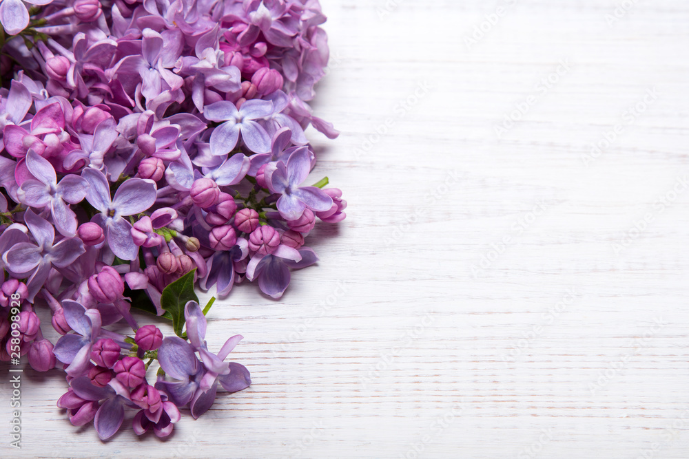 Lilac flowers on white wooden background, copy space, Lilac flowers on white wooden background, copy space,