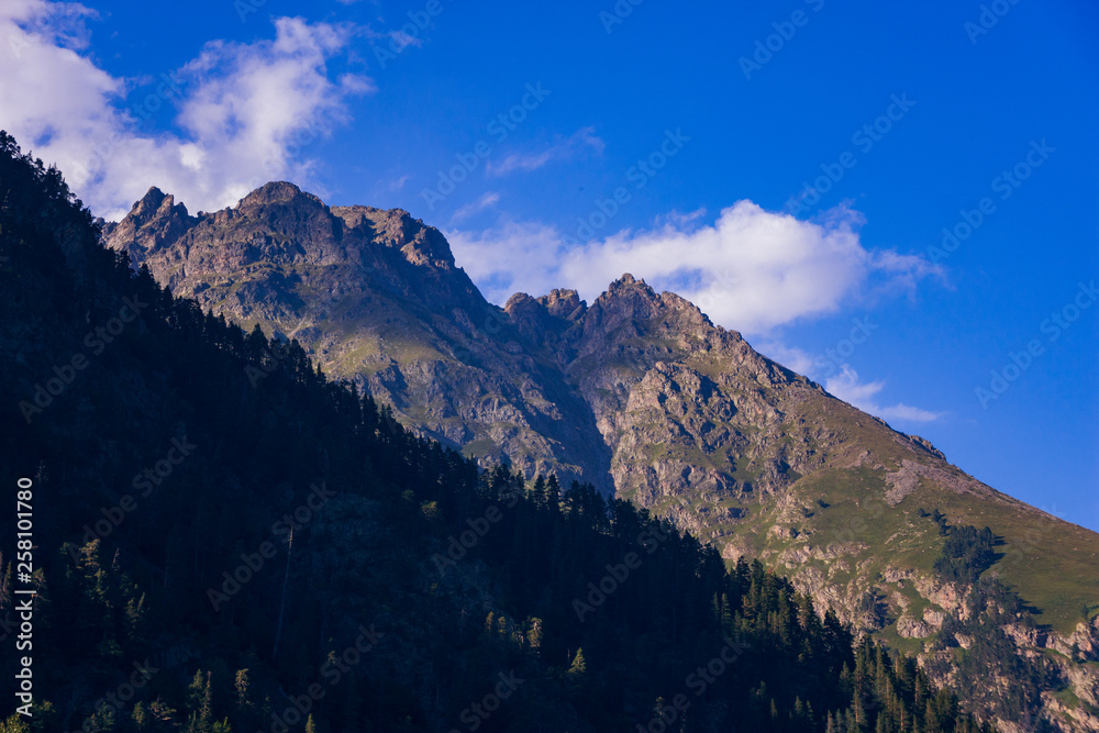 A huge panorama of high Caucasus mountains and beautiful trees on a sunny summer day.