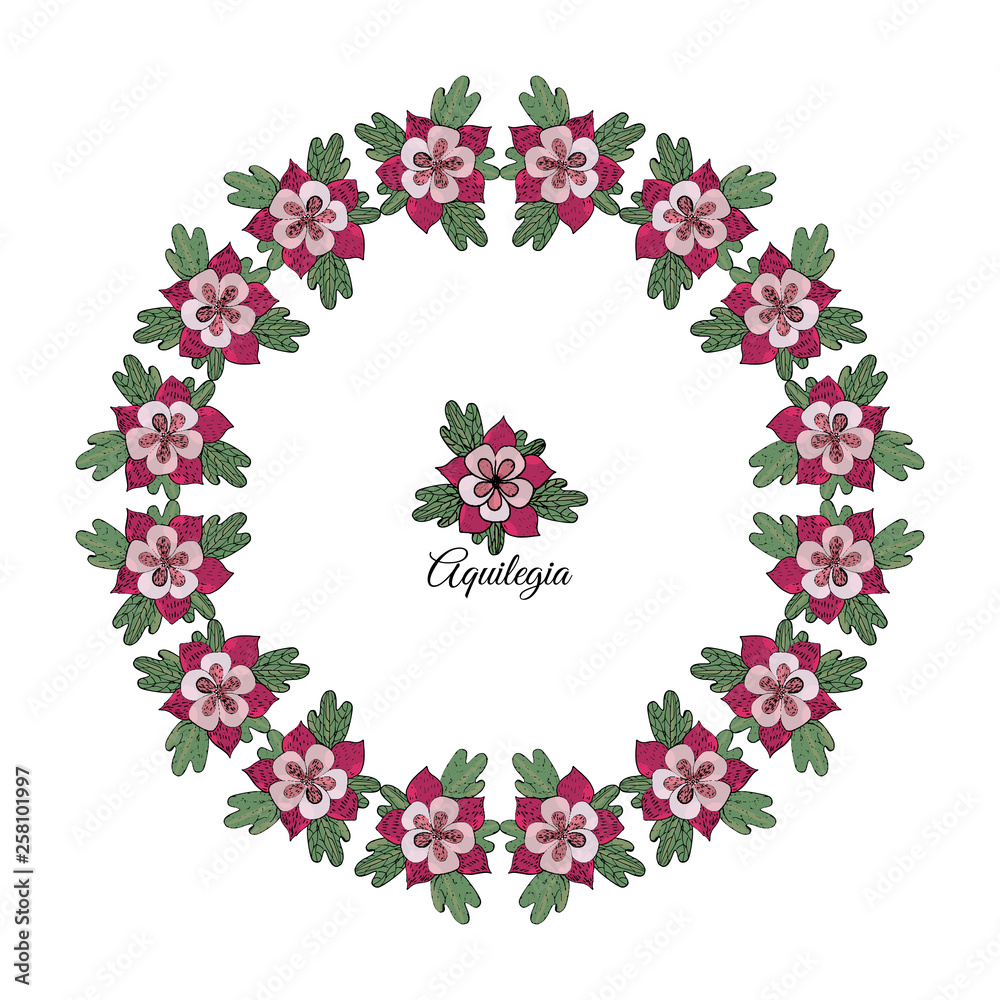 Vector circle frame with aquilegia flower isolated on the white