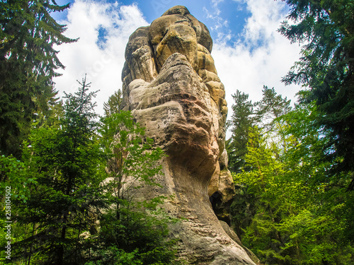Felsen im Wald