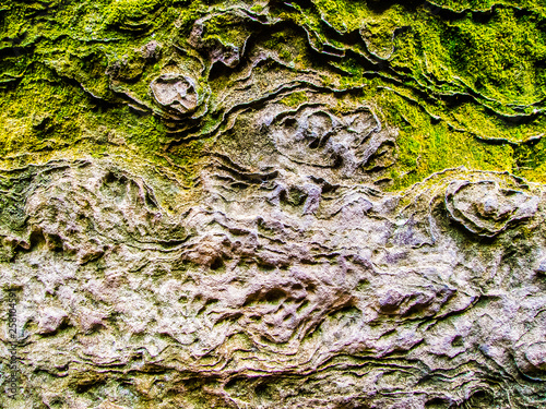 Felsgestein mit Flechten