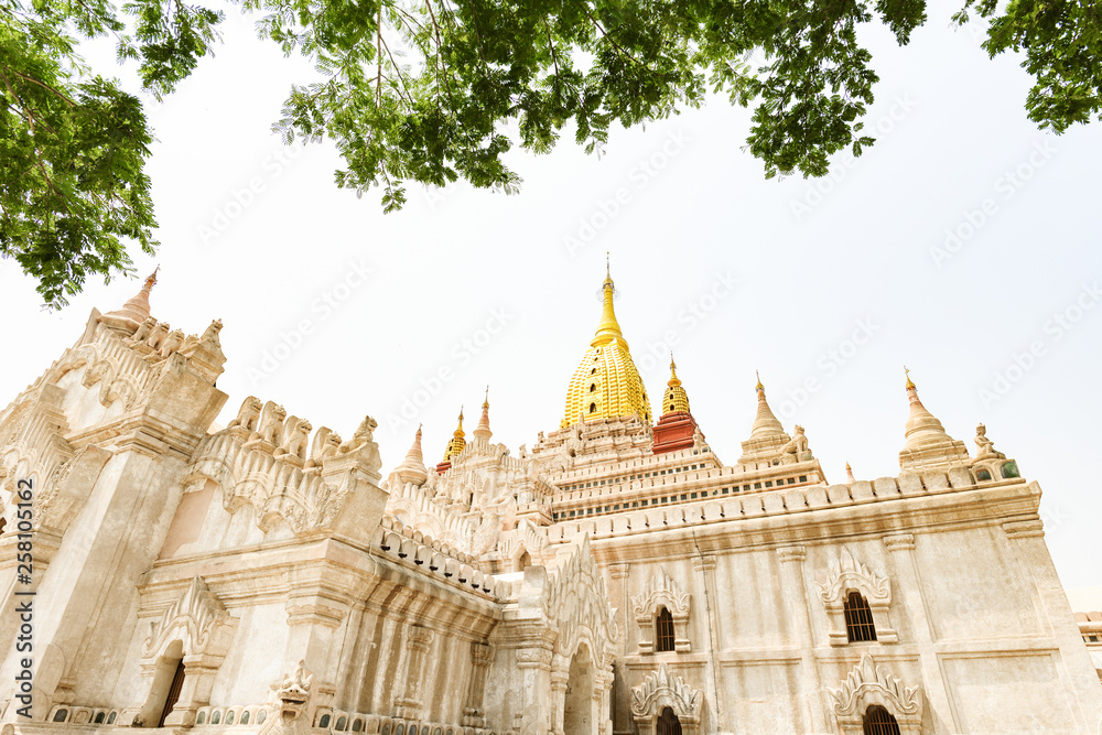 Stunning view of the beautiful Ananda Temple framed by a green tree canopy. Ananda Temple, is a Buddhist temple located in The Bagan archaelogical zone. Bagan, Myanmar.