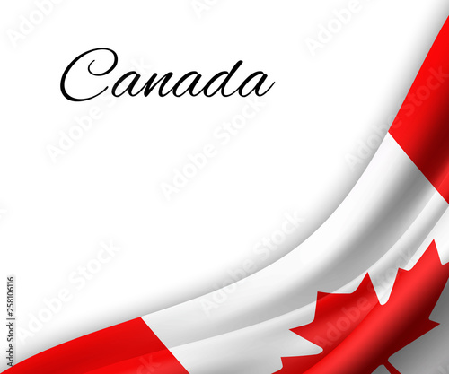 waving flag on white background.