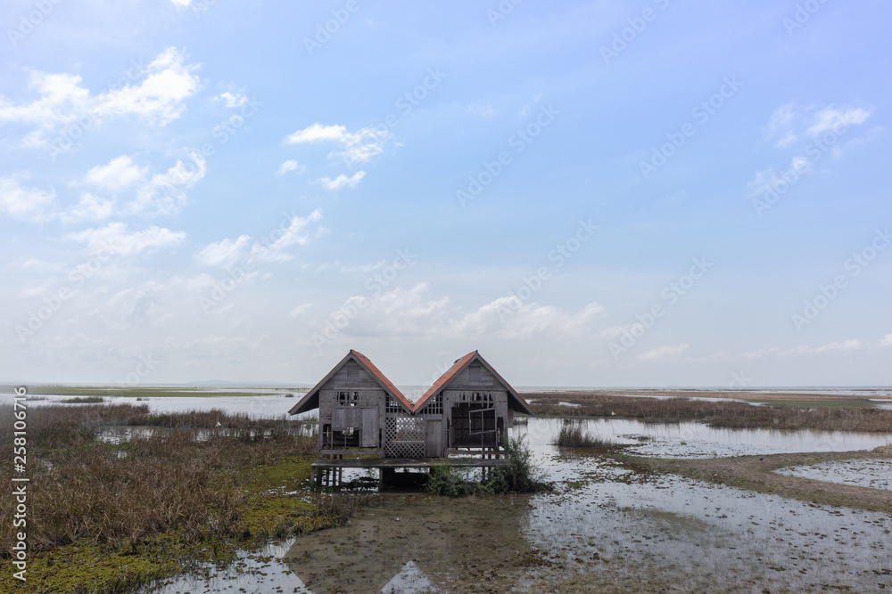 twin abandon house in wet land near lake at Phatthalung, Thailand
