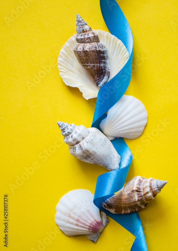 Seashells with light blue ribbon on yellow background photo