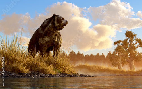 An unusual looking bear, the now extinct short faced bear, an animal of the last ice age, sits in the deep grass on the rocky shore of a prehistoric North American wetland. 3D Rendering. photo