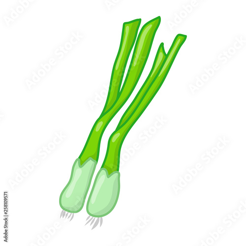 green onion or scallion cartoon isolated illustration on white background