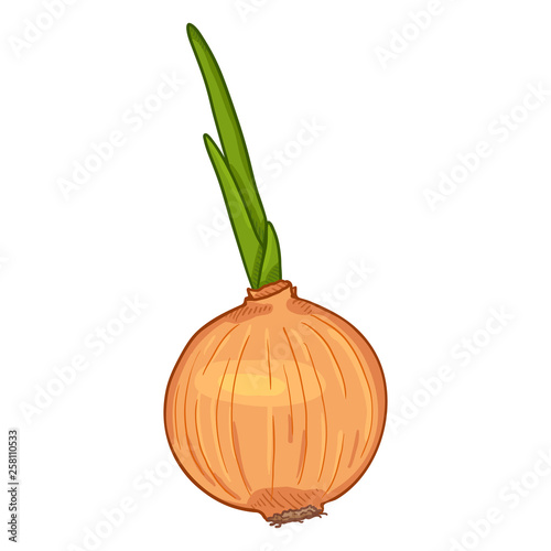 Vector Cartoon Yellow Onion Bulb with Sprout
