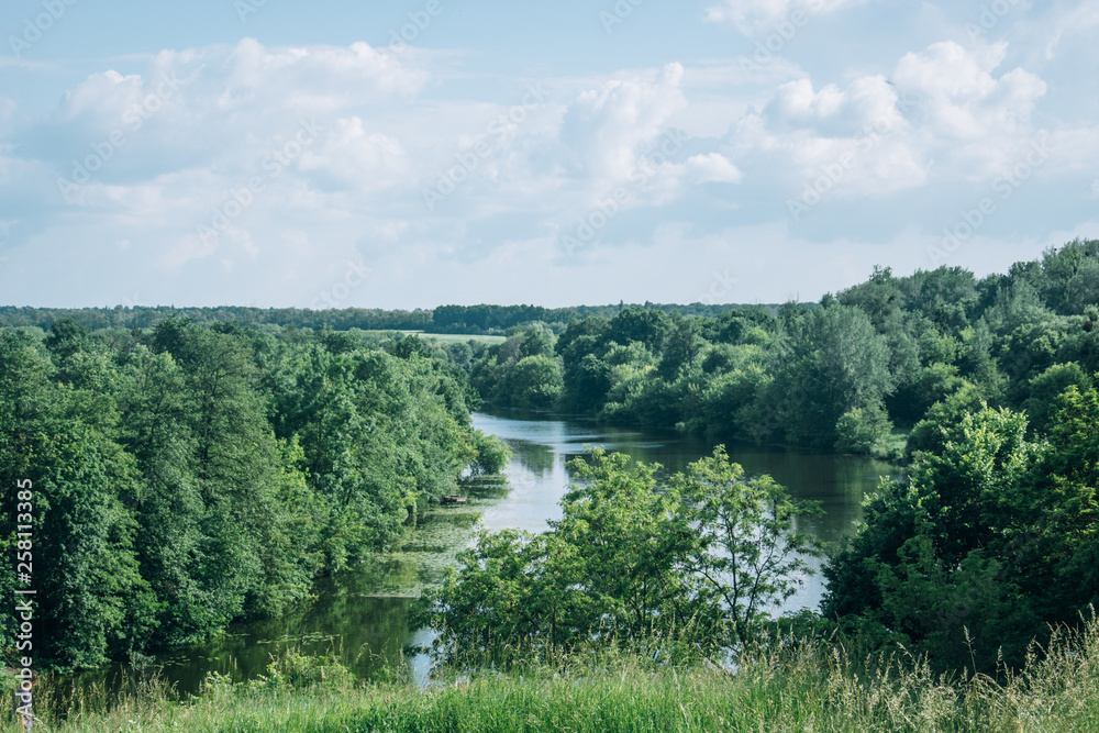 Fototapeta premium landscape of grass field and green environment public park use as natural background,backdrop