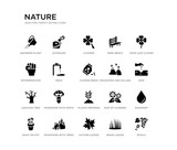set of 20 black filled vector icons such as petals, raindrop, sow, four leaf clover, grass leaves, autumn leaves, determination, park bench, clovers, asteroids. nature black icons collection.