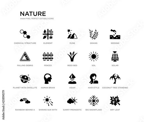 set of 20 black filled vector icons such as dry leaf, coconut tree standing, solar, seeding, big snowflake, sunny pronostic, falling debris, grains, dune, element. nature black icons collection.