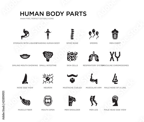 set of 20 black filled vector icons such as male head side view with brains, male nose of a line, masculine chromosomes, men chest, men leg, men shoulder, smiling mouth showing teeth, sperms, spine