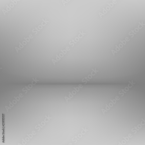 Vector white grey abstract background empty room with spotlight effect © ant