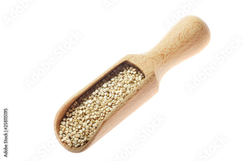 Raw organic superfood gluten free quinoa seeds in wooden scoop closeup on white background