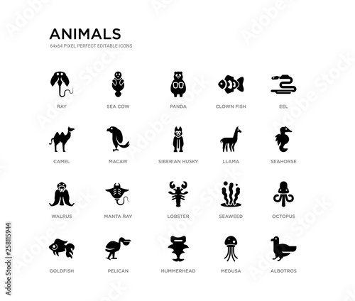 set of 20 black filled vector icons such as albotros, octopus, seahorse, eel, medusa, hummerhead, camel, clown fish, panda, sea cow. animals black icons collection. editable pixel perfect © Meth Mehr
