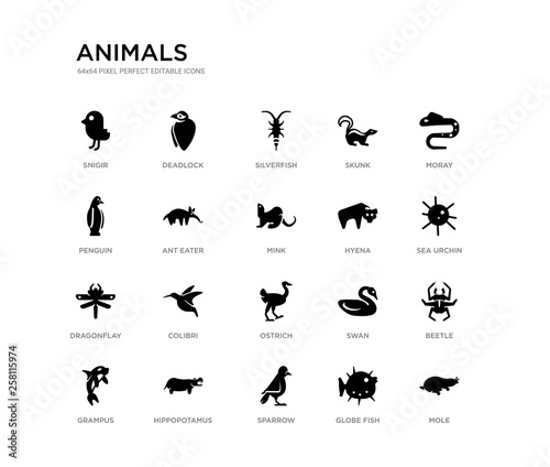 set of 20 black filled vector icons such as mole, beetle, sea urchin, moray, globe fish, sparrow, penguin, skunk, silverfish, deadlock. animals black icons collection. editable pixel perfect