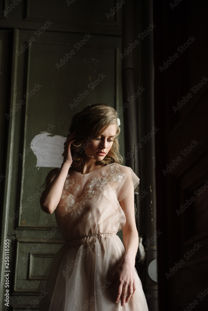 Naklejka premium Young woman posing in a pink tender light long dress indoors