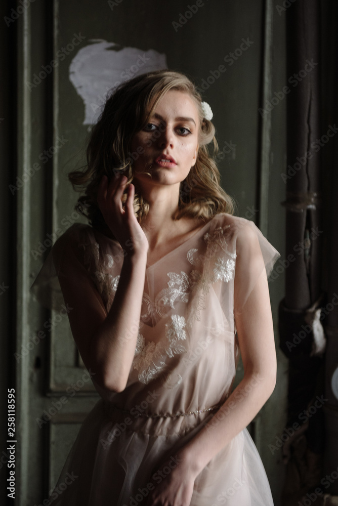 Young woman posing in a pink tender light long dress indoors Young woman posing in a pink tender light long dress indoors