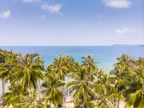 Tropical landscape with palm trees on the beach and blue sea, aerial view from drone of exotic bay, paradise summer vacation holidays destination, beautiful nature, nobody