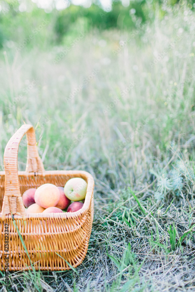 apples in a basket apples in a basket