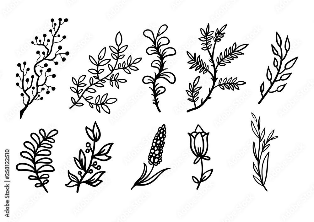 plant silhouettes