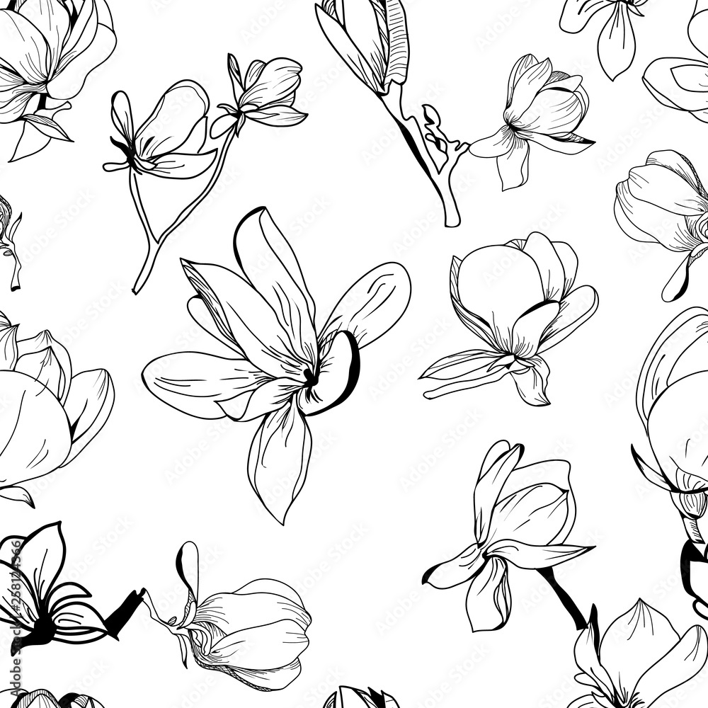 Vector pattern hand drawn Collection of magnolia flower and leaves Vector pattern hand drawn Collection of magnolia flower and leaves