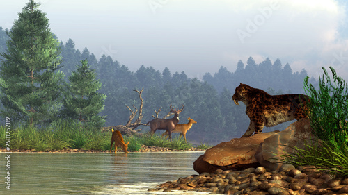 A saber-toothed cat gazes across a river at a family of deer.  The pleistocene hunter is foiled by the deep waters and can only watch as his potential prey casually drinks on the shore. 3D Rendering