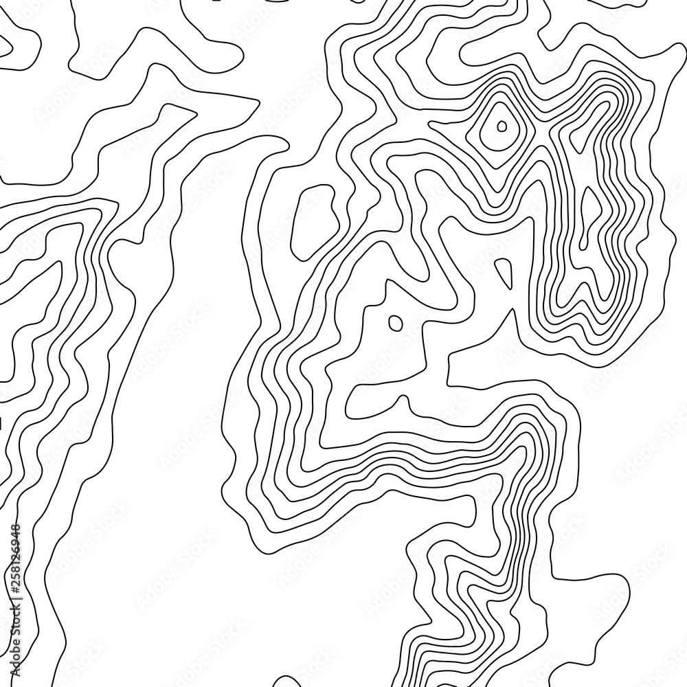Fototapeta premium Topographic map background. Geographic World Topography map grid abstract vector illustration. Topo map with elevation.