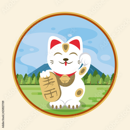 Neko cat in nature