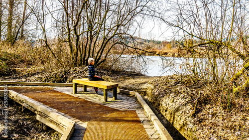 Senior Woman resting on a wooden bench hiking the trail from Poplar Bar to Two-bit Bar in Glen Valley Regional Park near Fort Langley, British Columbia, Canada on a nice winter day photo