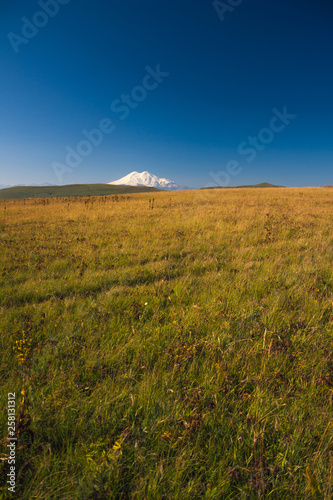 View of the snow Elbrus in summer