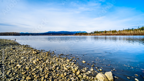 The Fraser River on the shore of Glen Valley Regional Park near Fort Langley, British Columbia, Canada on a nice winter day