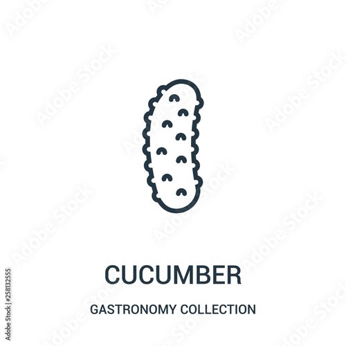 cucumber icon vector from gastronomy collection collection. Thin line cucumber outline icon vector illustration.