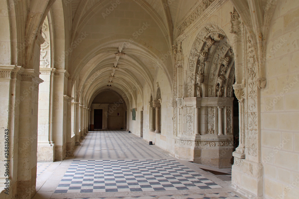 Fontevraud abbey (France)