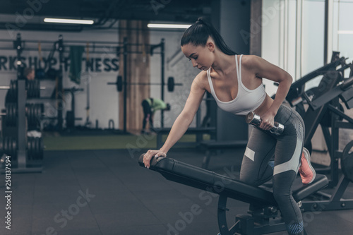 Young fit woman in sportswear exercising with dumbbells at the gym, copy space. Beautiful sportswoman lifting weights, doing back exercises. Fitness, healthcare, motivation concept