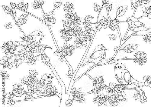 little birds on tree of blossom cherry for your coloring page