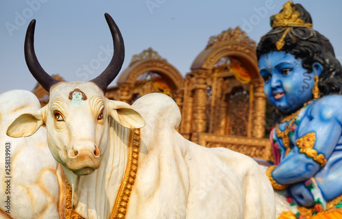 Idol of Hindu god Sri Krisna play with cow, idol, in a temple