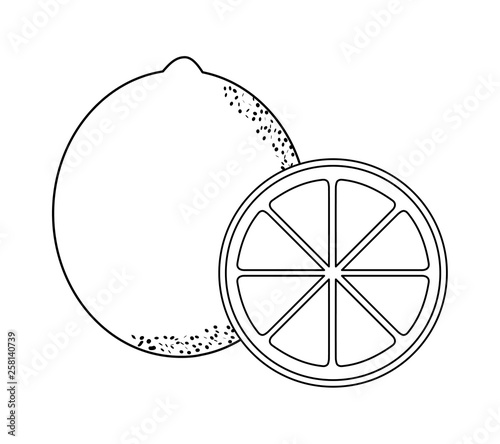 fresh oranges fruits isolated icon