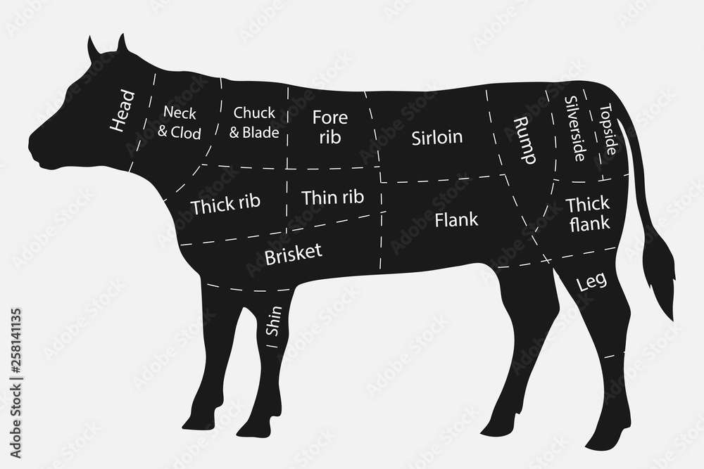 Cuts of Beef Stock Vector