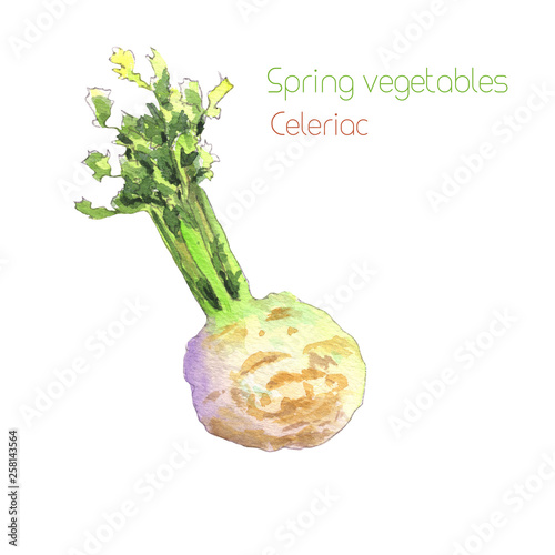 Celeriac