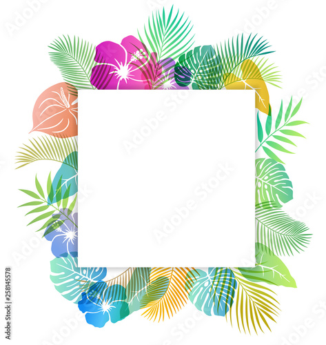 Summer tropical image Background material
