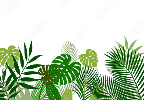 Background material of tropical plants