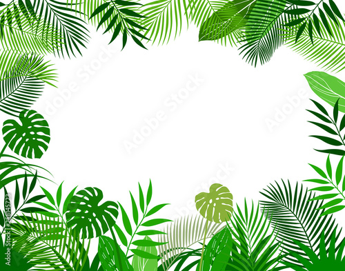 Background material of tropical plants