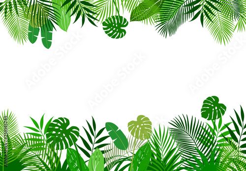 Background material of tropical plants