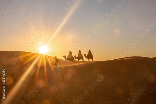 Kamel Karavane in der Sahara bei Sonnenuntergang